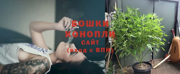 PSILOCYBIN Богородск